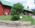 images/Schweden/Schweden 2012/IMG_0740.jpg